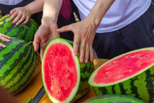 大玉子吃瓜,揭秘娱乐圈幕后故事