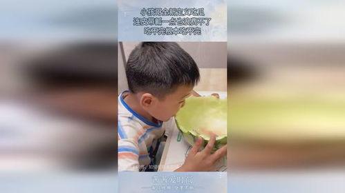 吃瓜小孩哥,揭秘娱乐圈幕后故事