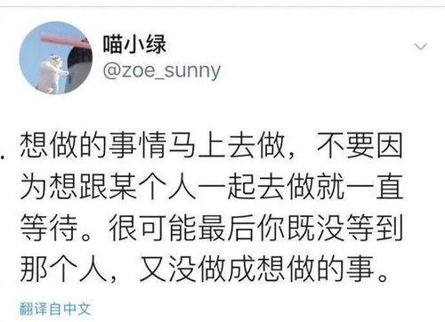 专心吃瓜不考研,专心吃瓜，不考研的悠闲生活