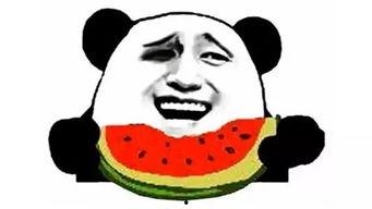 胜利 吃瓜,揭秘娱乐圈的甜蜜与苦涩