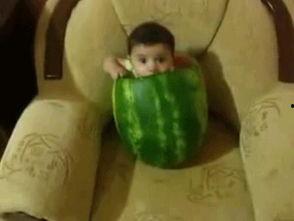 网络图片吃瓜,揭秘网络舆论背后的真相