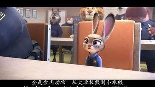 今日吃瓜朱迪,朱迪的瓜田奇遇记