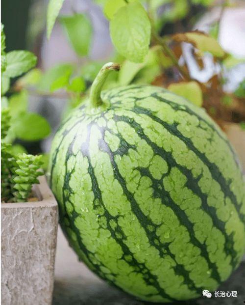 什么是吃瓜现象,网络时代下的围观现象解析