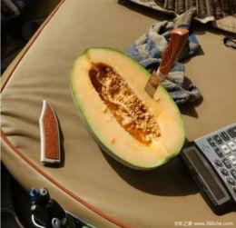 吃瓜的作品,揭秘吃瓜群众的趣味世界