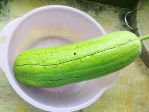 水瓜孩子可以吃吗,孩子可以安全食用的健康食材