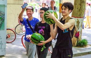 香港学校吃瓜,揭秘校园生活点滴