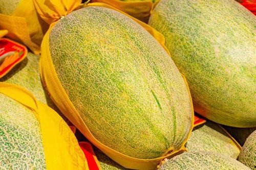 喀什吃哪里的瓜好吃,探寻当地最地道的瓜类美味