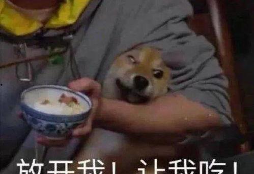 吃瓜吃羊吗,揭秘社会心理现象