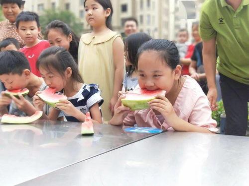 新世纪吃瓜,揭秘网络热点的幕后真相