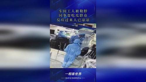 车间工人吃瓜事件,一场意外引发的团结与反思
