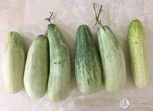 自己吃瓜的经历,一场吃瓜者的真实经历揭秘