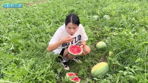 吃瓜南阳,一场关于“吃瓜”的全民狂欢